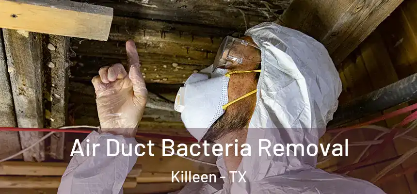  Air Duct Bacteria Removal Killeen - TX