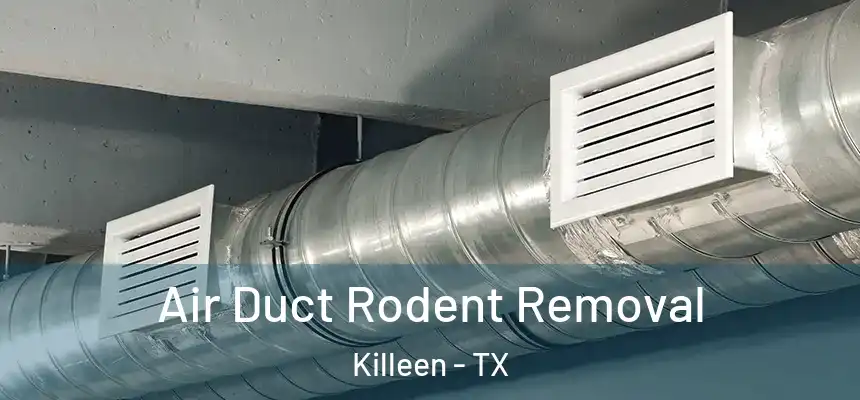  Air Duct Rodent Removal Killeen - TX