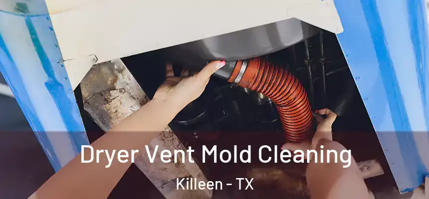 Dryer Vent Mold Cleaning Killeen - TX