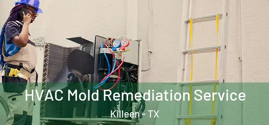 HVAC Mold Remediation Service Killeen - TX