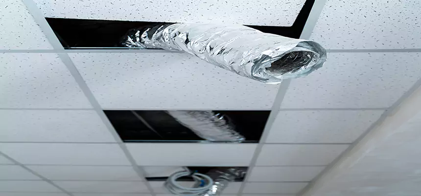 Our Air Duct Pet Hair Removal Services in Killeen, TX