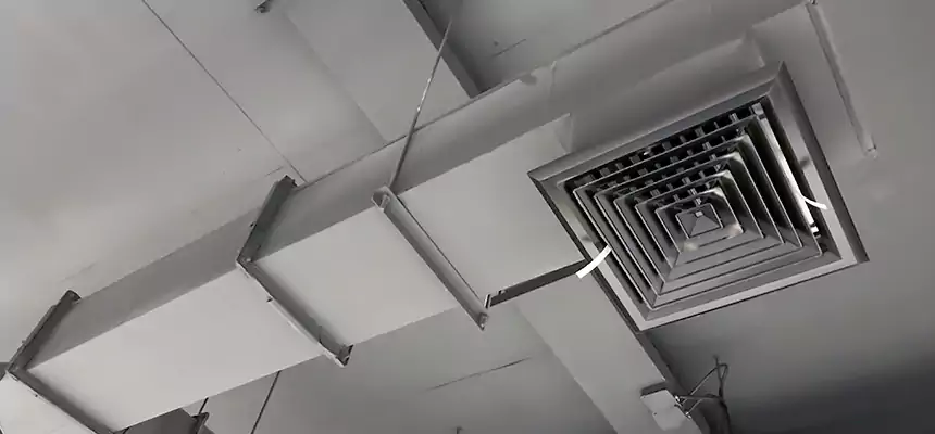 Our Rodent Droppings In Vents Services in Killeen, TX