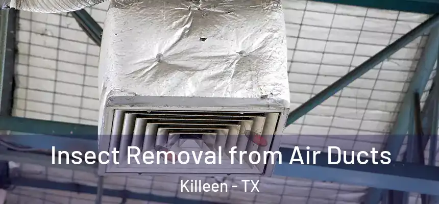 Insect Removal from Air Ducts Killeen - TX