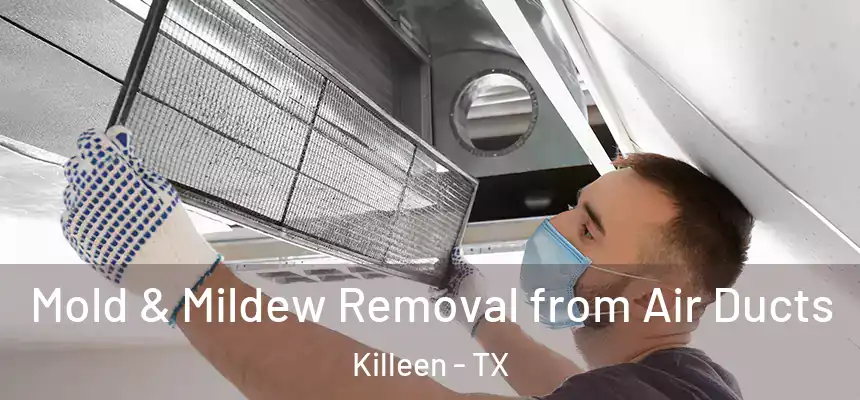  Mold & Mildew Removal from Air Ducts Killeen - TX
