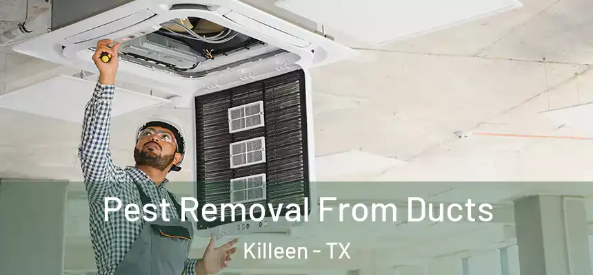  Pest Removal From Ducts Killeen - TX
