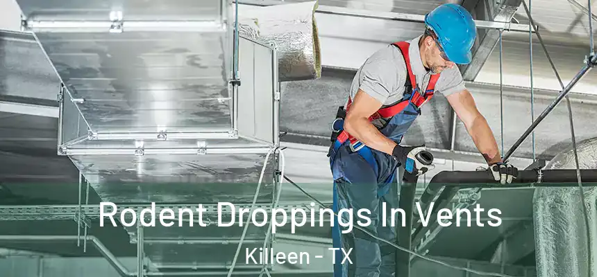  Rodent Droppings In Vents Killeen - TX