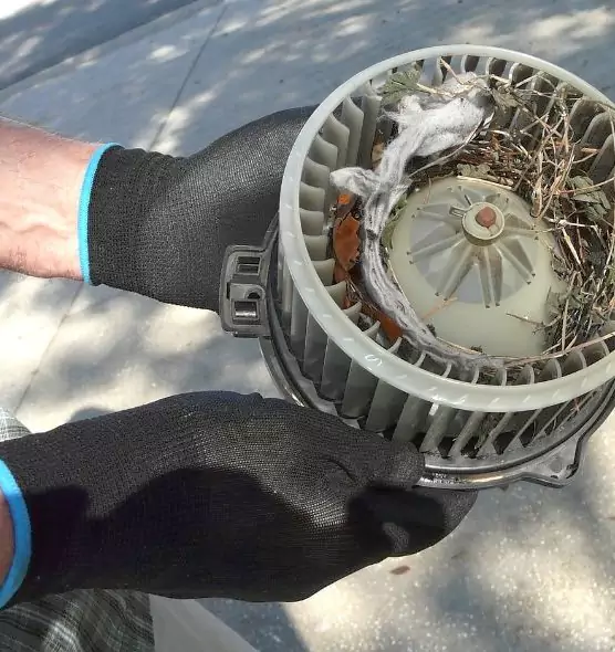 About Air Duct Mice Removal in Killeen, TX