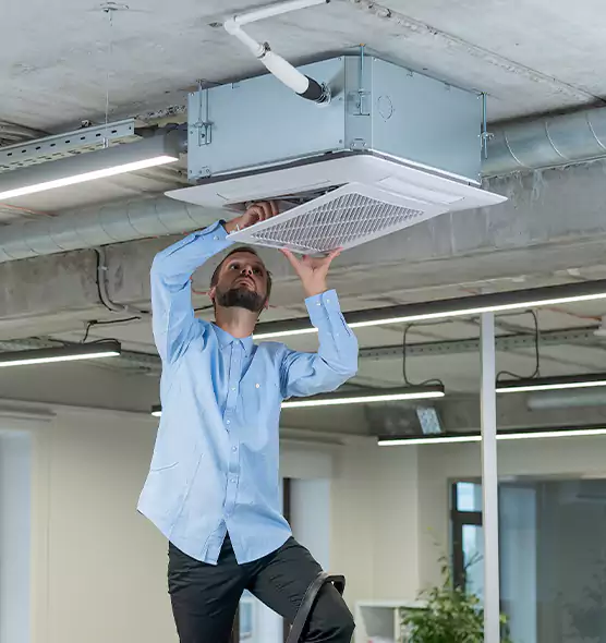 Advanced Rodent Droppings In Vents in Killeen, TX