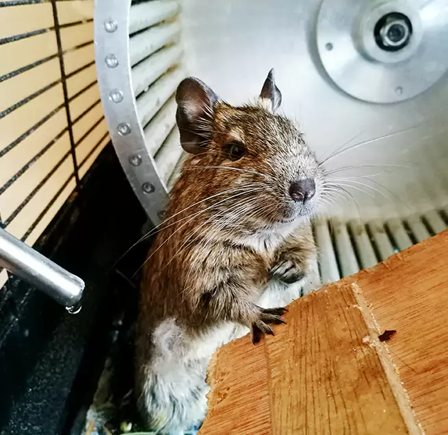 Why Homeowners & Businesses Trust Us Killeen, TX