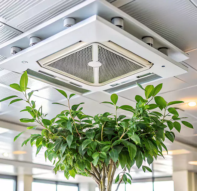 Why Homeowners & Businesses Trust Us in Killeen, TX?