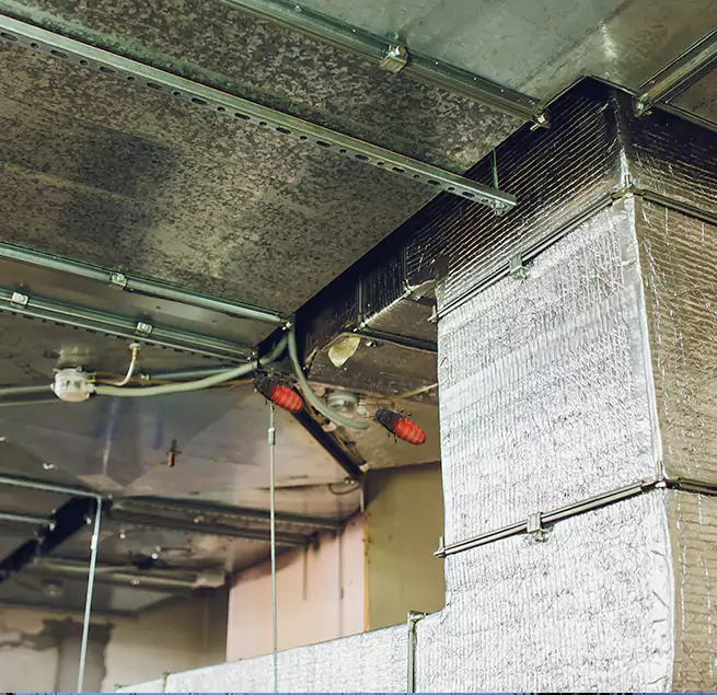 Why Homeowners & Businesses Trust Us Killeen, TX?