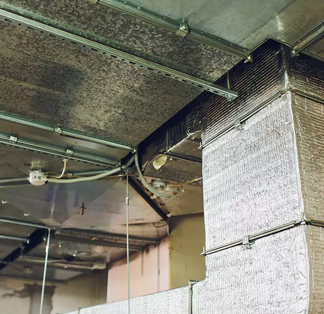 Why Homeowners & Businesses Trust Us in Killeen, TX?